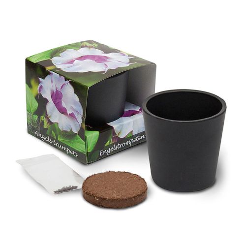 Keramisk potte med unikke frø - Billede 2